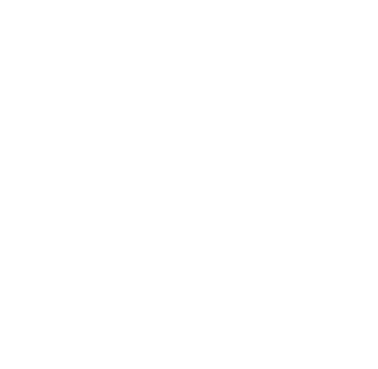 pecorino_cheese